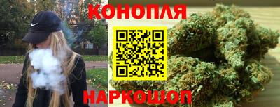 сатива Рязань