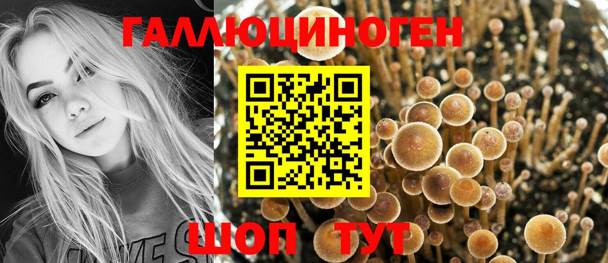Галлюциногенные грибы прущие грибы  Вход с VPN  Ревда 